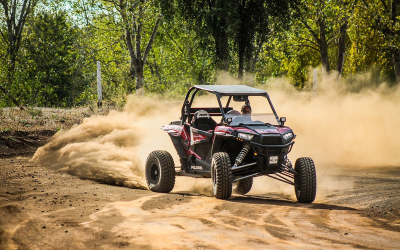 Someone driving a buggy on the sand