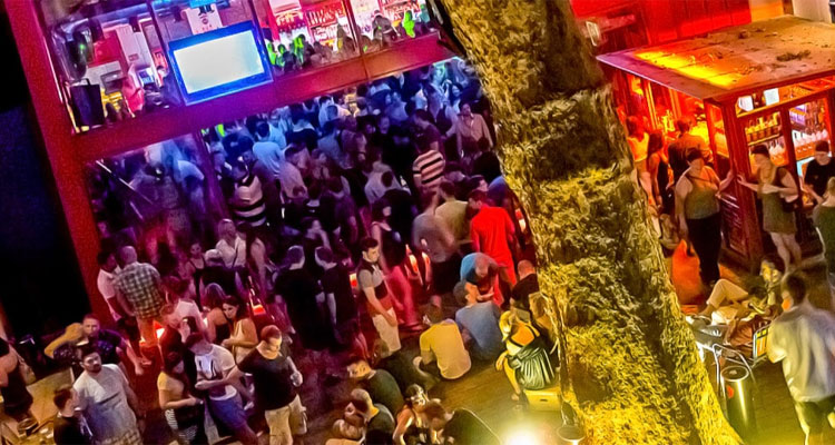 A 300 year old tree in the courtyard of Doboz, one of Budapest