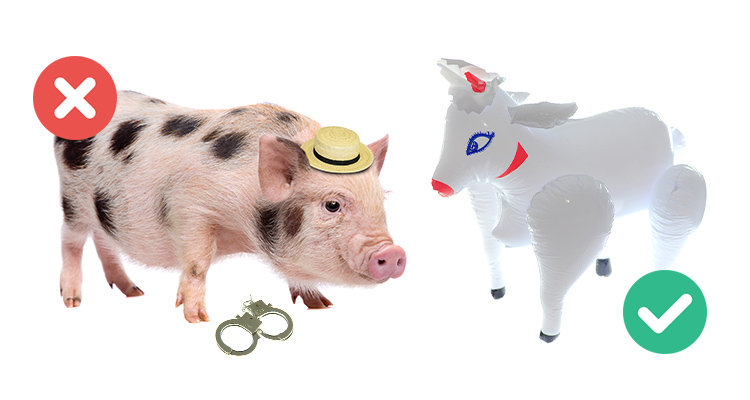 An image of a pig next to an inflatable sheep