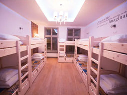 Krakow Greg and Tom Beer House Hostel