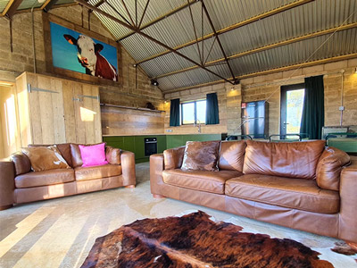 A spacious converted barn with large brown sofas and cow wall art 