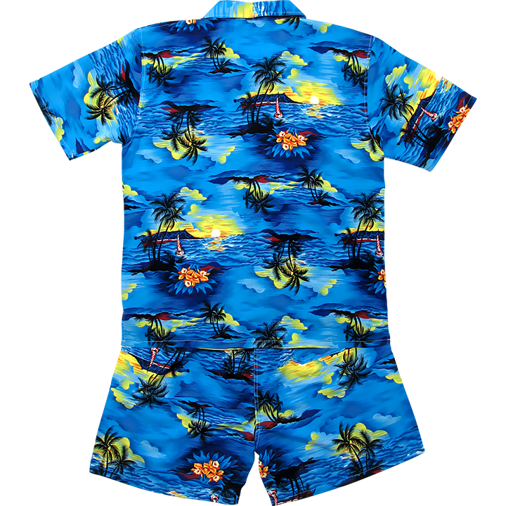 Back Photo Print Stag Do Hawaii Shirt and Shorts