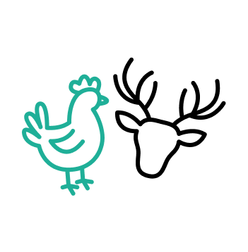 An illustrated icon of a stag and hen /><p class=