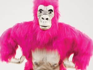 LNOF's pink gorilla called Alison
