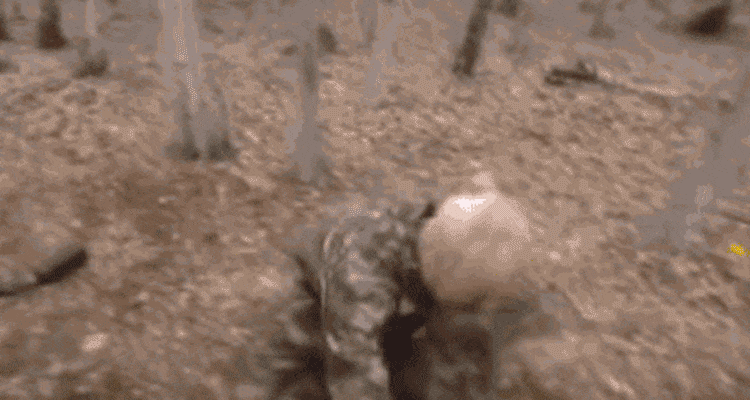 Two men in camouflage gear in dramatic paintballing death scene