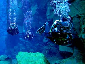 Snorkelling in Reykjavik, Iceland