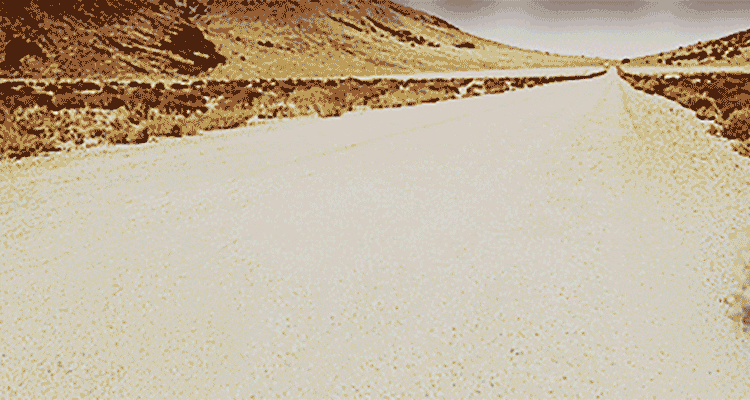 tumbleweed blowing across an open space