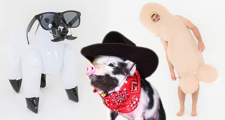 An image of an inflatable sheep wearing sunglasses, a man dressed in an as a penis and a piglet in a cowboy hat and red bandana