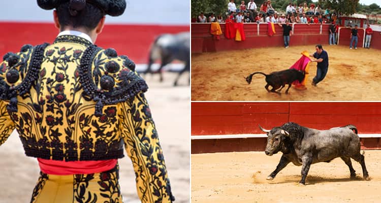 Three tiled images - featuring one of the back of a matador, one of a bull and one of a man fighting a bull