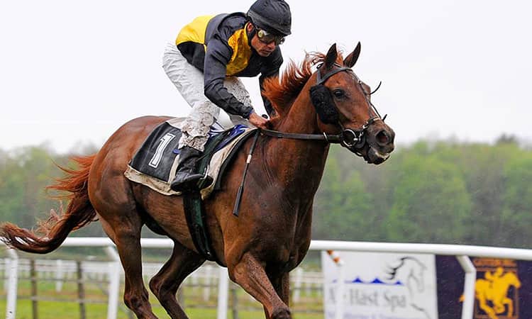 Close up of a jockey riding a horse in a race