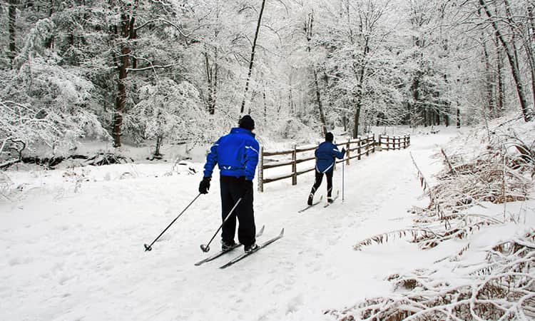 Two men skiing along a path in the forest.