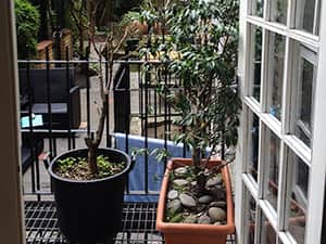 Balcony and plants