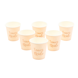 Rose Gold Team Bride Shot Glasses isolated on a white background