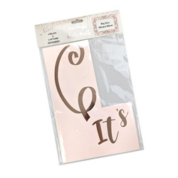 Personalised Rose Gold Hen Do Giant Photo Frame in packet