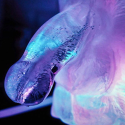Huge Penis Ice Luge Freeze at Home Plastic Mould Ice Example close up