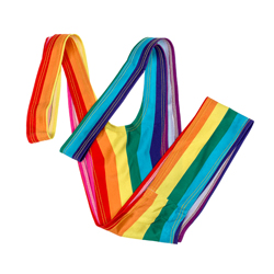 Rainbow Mankini without model with white background