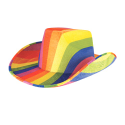 Pride Rainbow Cowboy Hat isolated on a white background.