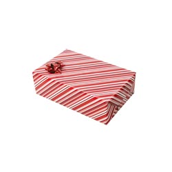 A gif of a present wrapped in Raunchy Willy wrapping paper bursting open