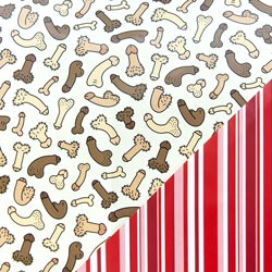 A gif of a present wrapped in Raunchy Willy wrapping paper bursting open