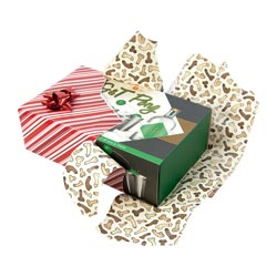 Close up of Raunchy Willy wrapping paper