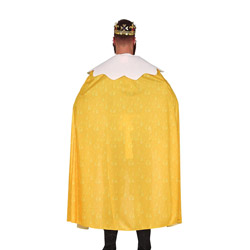 A back view of a male model wearing a beer king outfit consisting of a beer shaped hat, yellow cape and green top with a belt that has two beer holders 