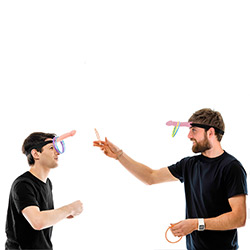 Dick Head Hoopla Game