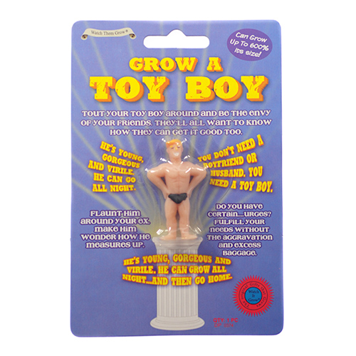 Grow Your Own Toy Boy