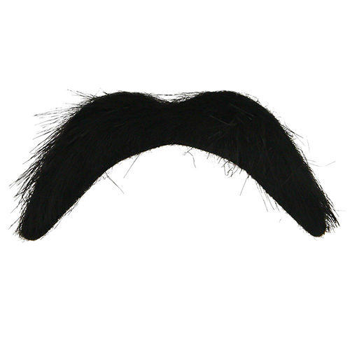 Thick Black Moustache On White Background