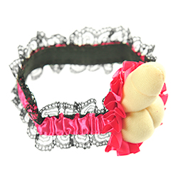 Close up Image Of The Willy Garter