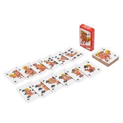 The packaging of the kamasutra cards and the Spades suit laid out on the table