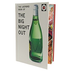 The Ladybird Book of The Big Night Out propped open