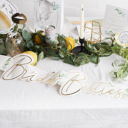 The sash seen on a table with plants.