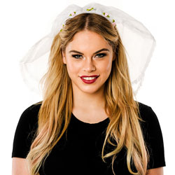 Front View Of White Veil 